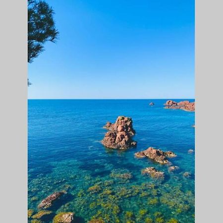 Superbe 4 Couchages Avec Terrasse - Clim - 50M De La Mer แซ็งต์-ราฟาเอล ภายนอก รูปภาพ