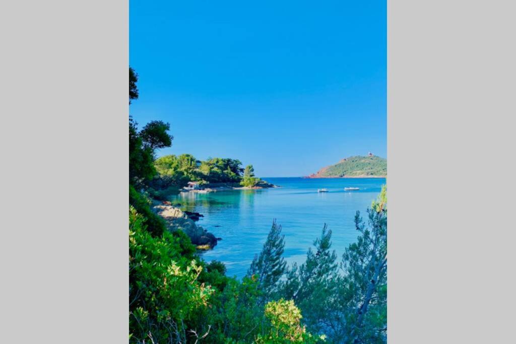 Superbe 4 Couchages Avec Terrasse - Clim - 50M De La Mer แซ็งต์-ราฟาเอล ภายนอก รูปภาพ