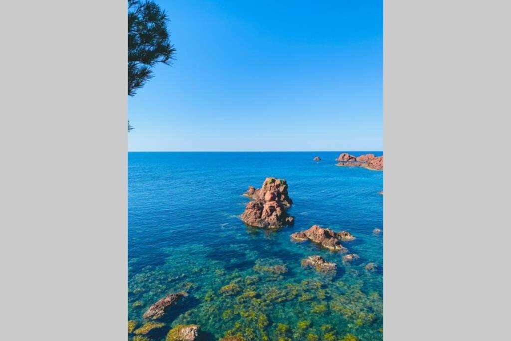 Superbe 4 Couchages Avec Terrasse - Clim - 50M De La Mer แซ็งต์-ราฟาเอล ภายนอก รูปภาพ