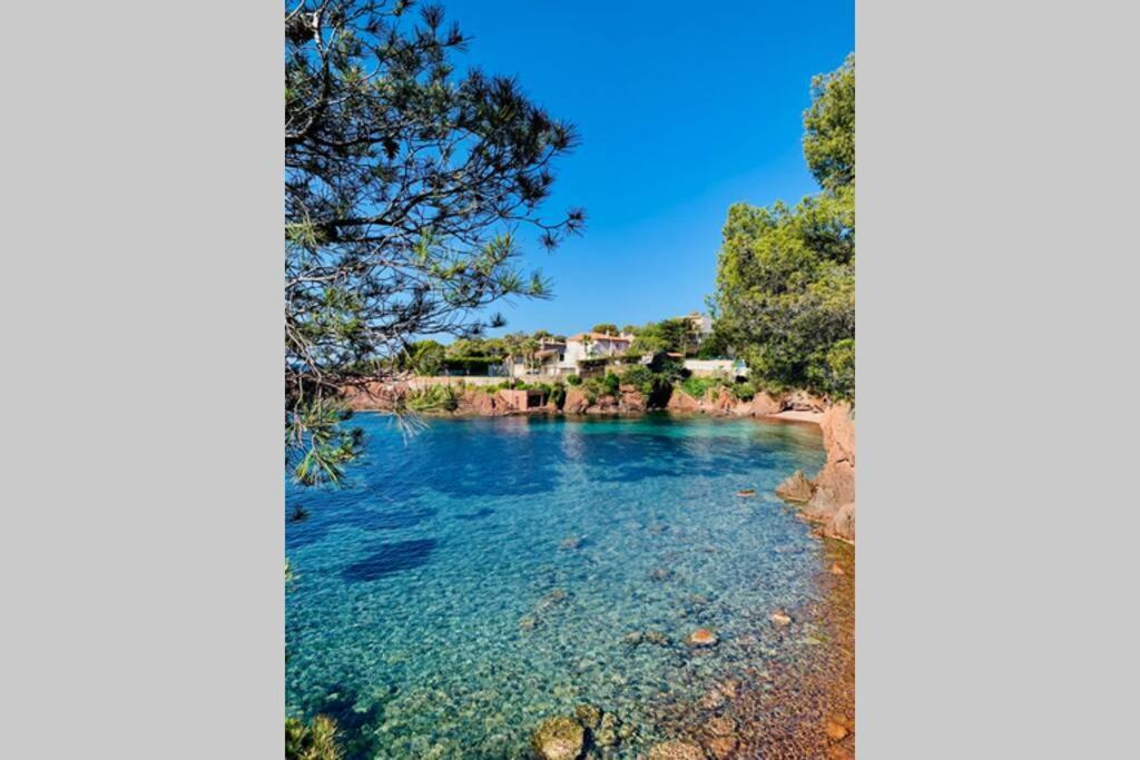 Superbe 4 Couchages Avec Terrasse - Clim - 50M De La Mer แซ็งต์-ราฟาเอล ภายนอก รูปภาพ