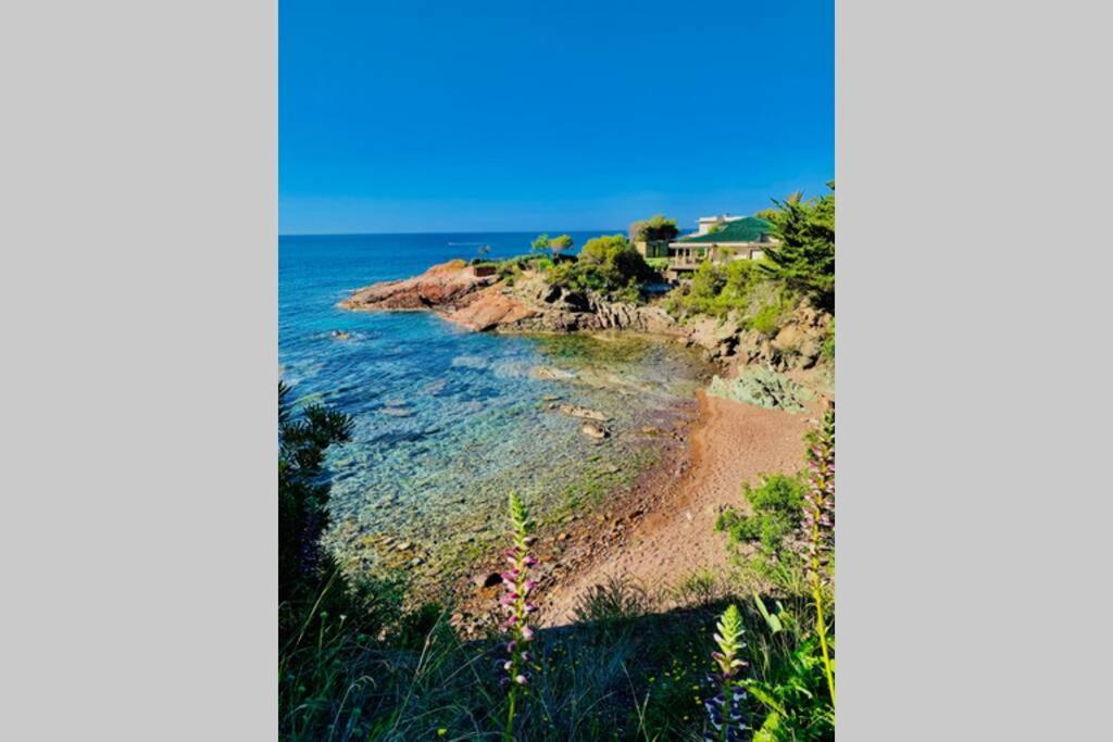 Superbe 4 Couchages Avec Terrasse - Clim - 50M De La Mer แซ็งต์-ราฟาเอล ภายนอก รูปภาพ
