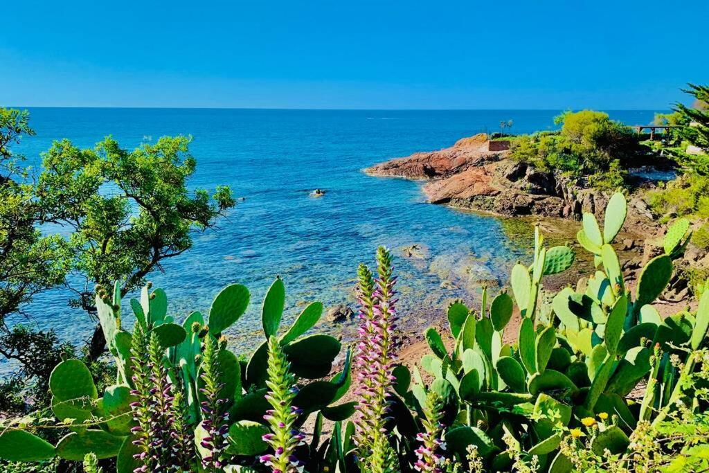 Superbe 4 Couchages Avec Terrasse - Clim - 50M De La Mer แซ็งต์-ราฟาเอล ภายนอก รูปภาพ