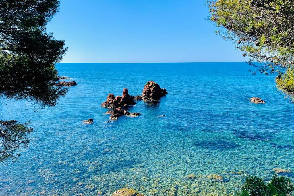 Superbe 4 Couchages Avec Terrasse - Clim - 50M De La Mer แซ็งต์-ราฟาเอล ภายนอก รูปภาพ